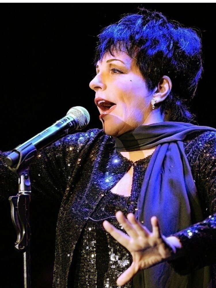 Le memorie di Liza Minelli diventeranno una serie tv prodotta da Warner Bros