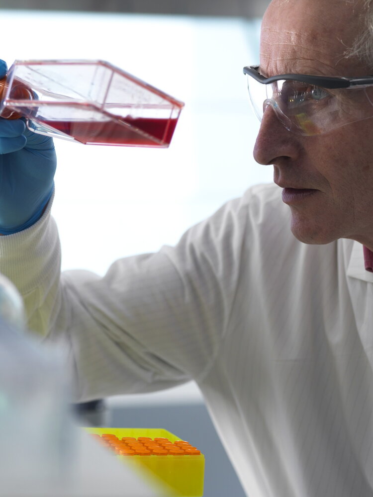 La luce distrugge il centro energetico delle cellule del cancro