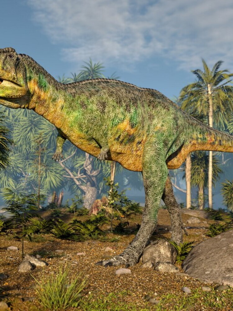Scoperto il più grande sito di impronte di dinosauri del Regno Unito