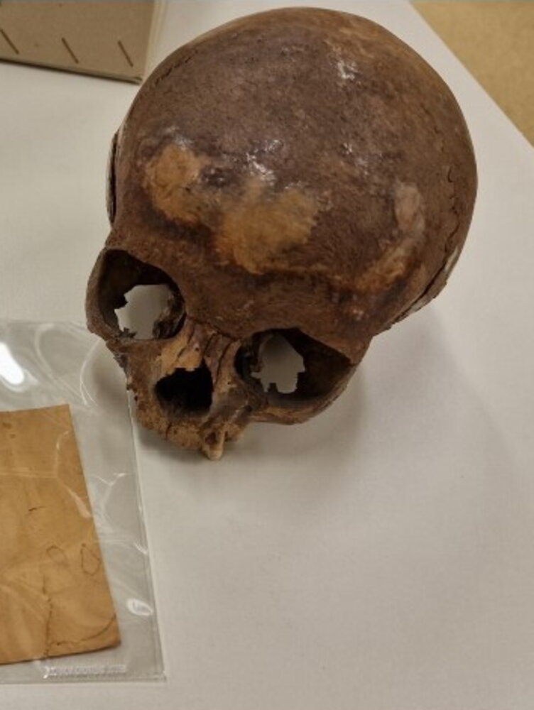 Non sono della sorella di Cleopatra i resti umani trovati a Efeso