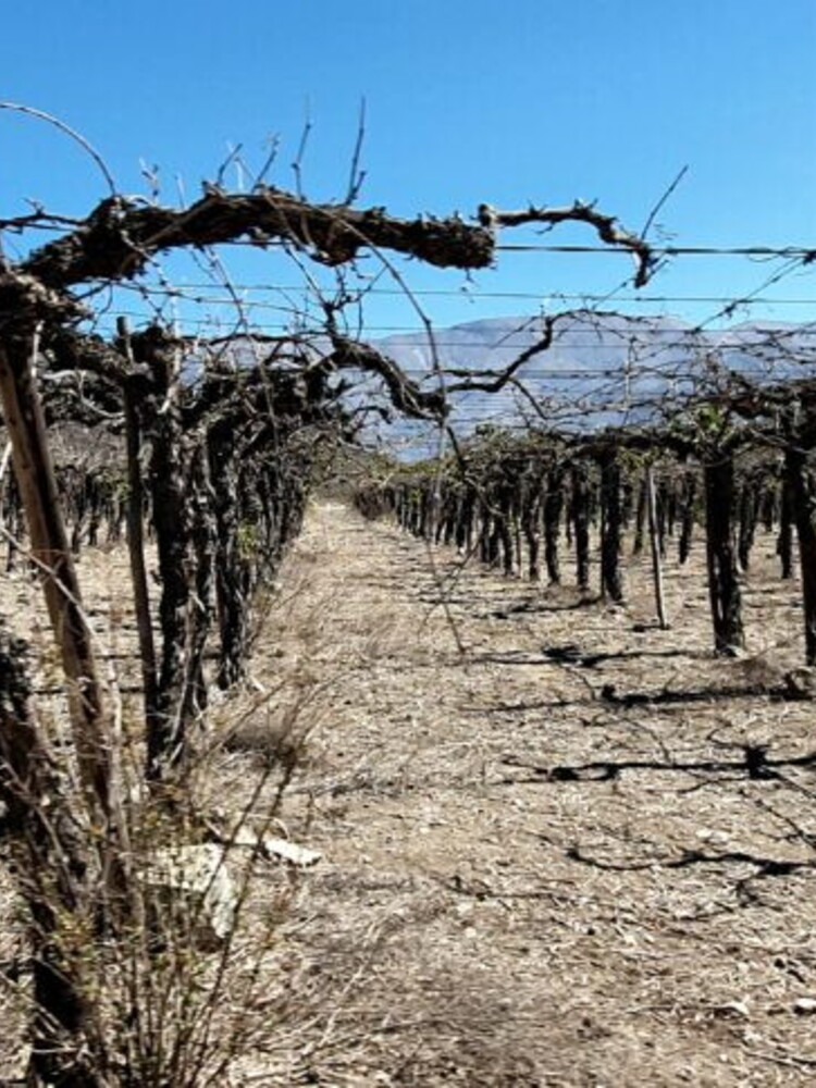 Le "megasiccità" stanno devastando il globo (e sono destinate ad aumentare)