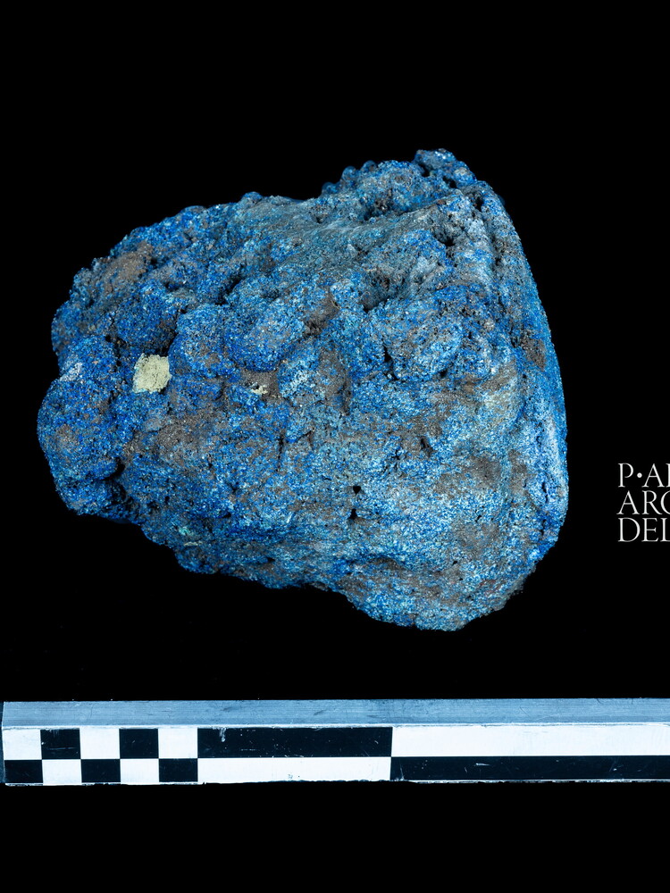 Blu egizio, ocra gialla e rosso: la Domus Aurea svela la natura dei suoi colori