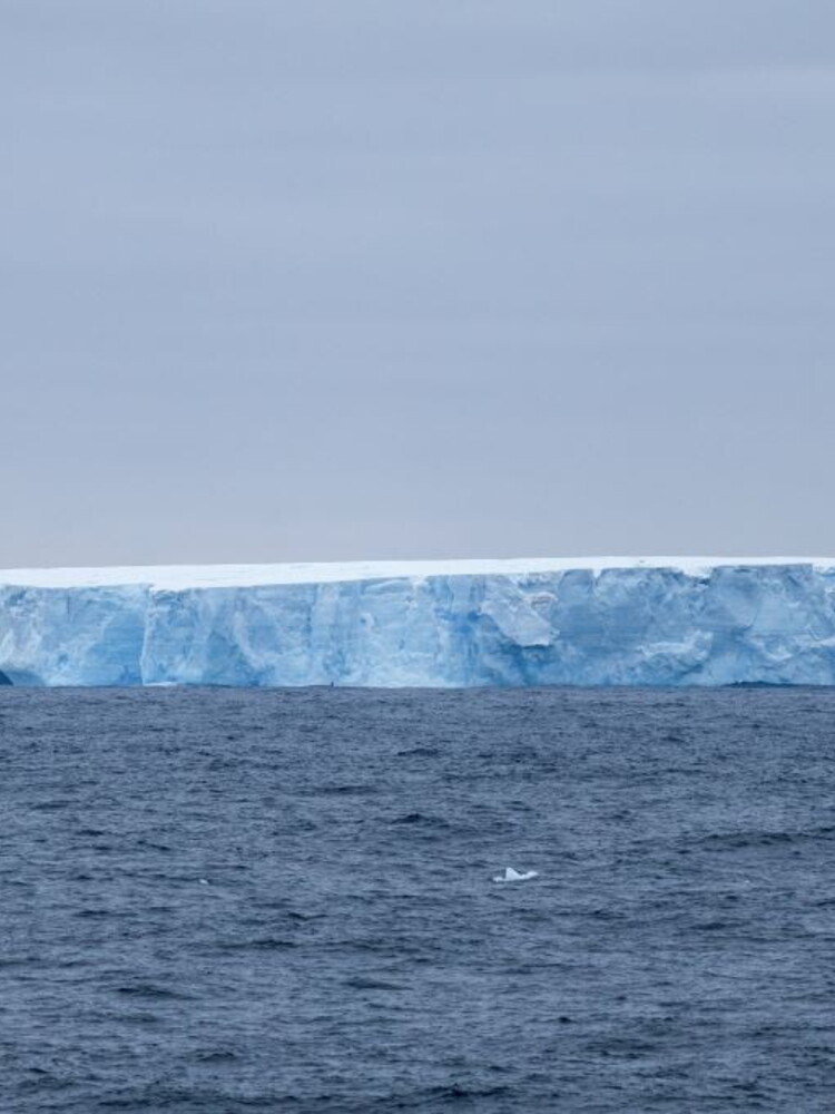 L'iceberg più grande del mondo è in rotta di collisione con una remota isola britannica