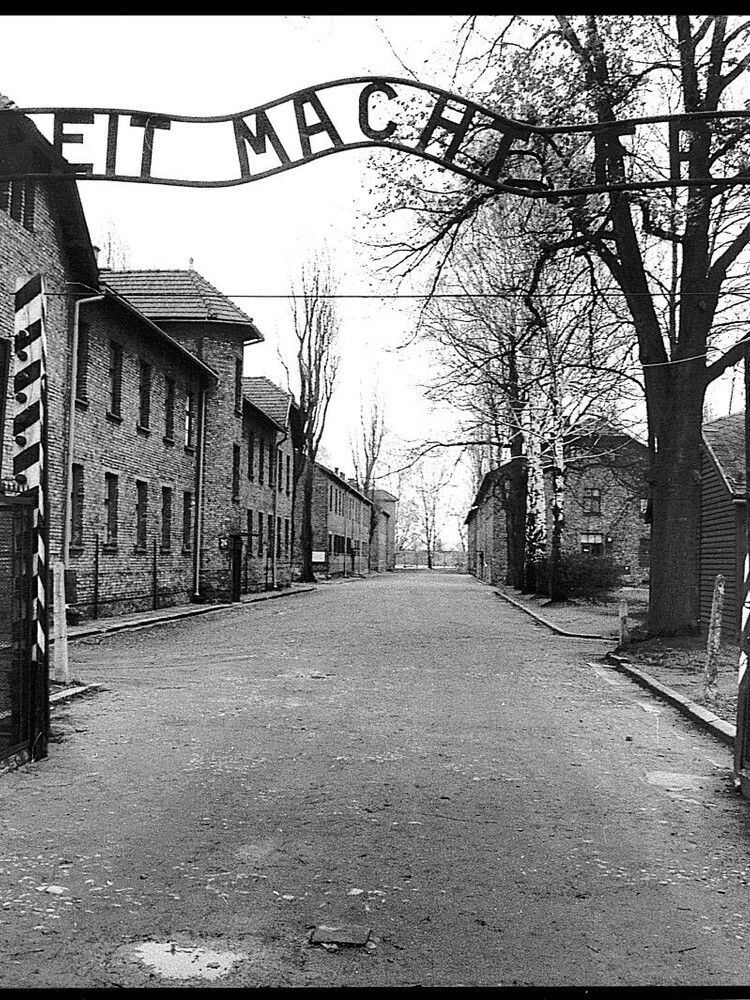Gli allarmi inascoltati su Auschwitz e Shoah 