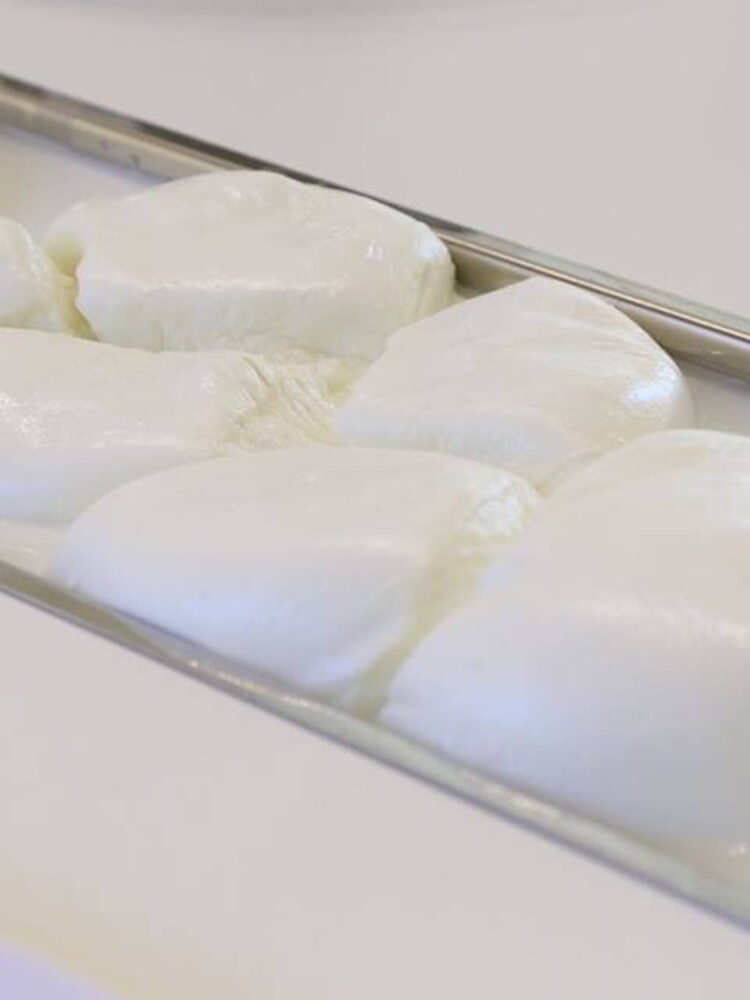 Al nord tutti pazzi per la bufala, purché sia mozzarella dop
