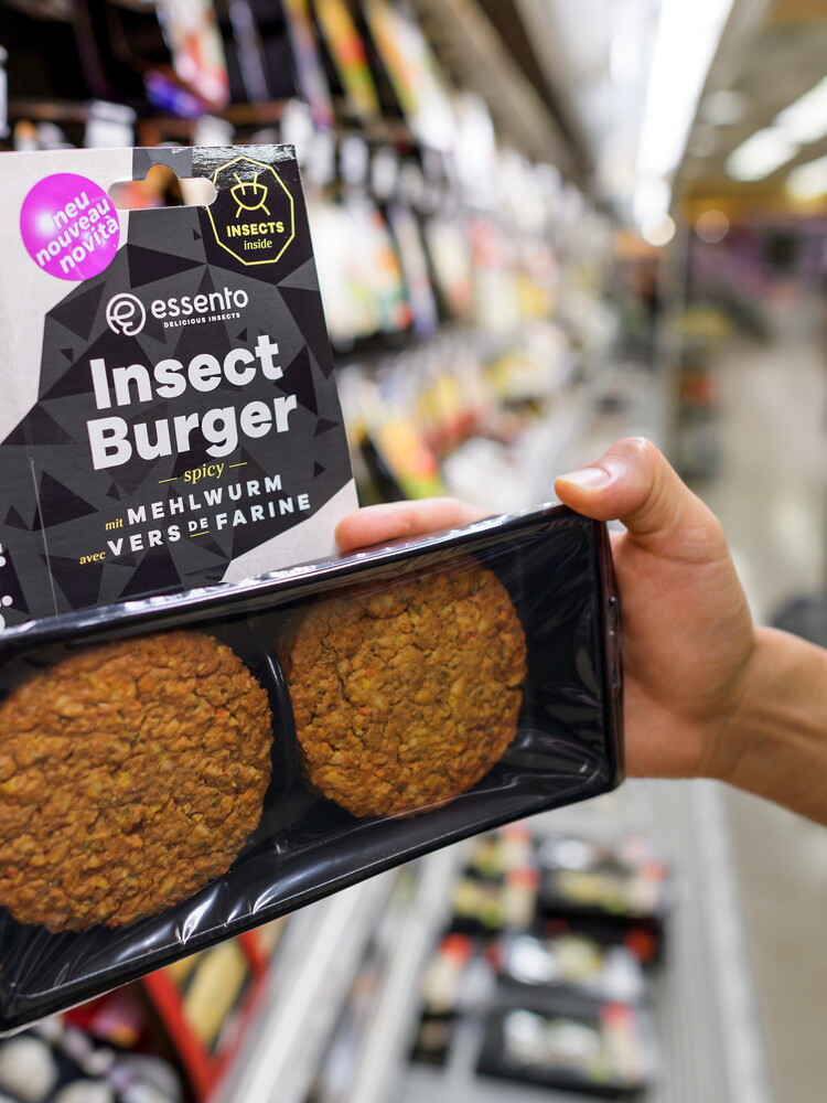 Grilli e larve nel piatto? Gli italiani non sono interessati