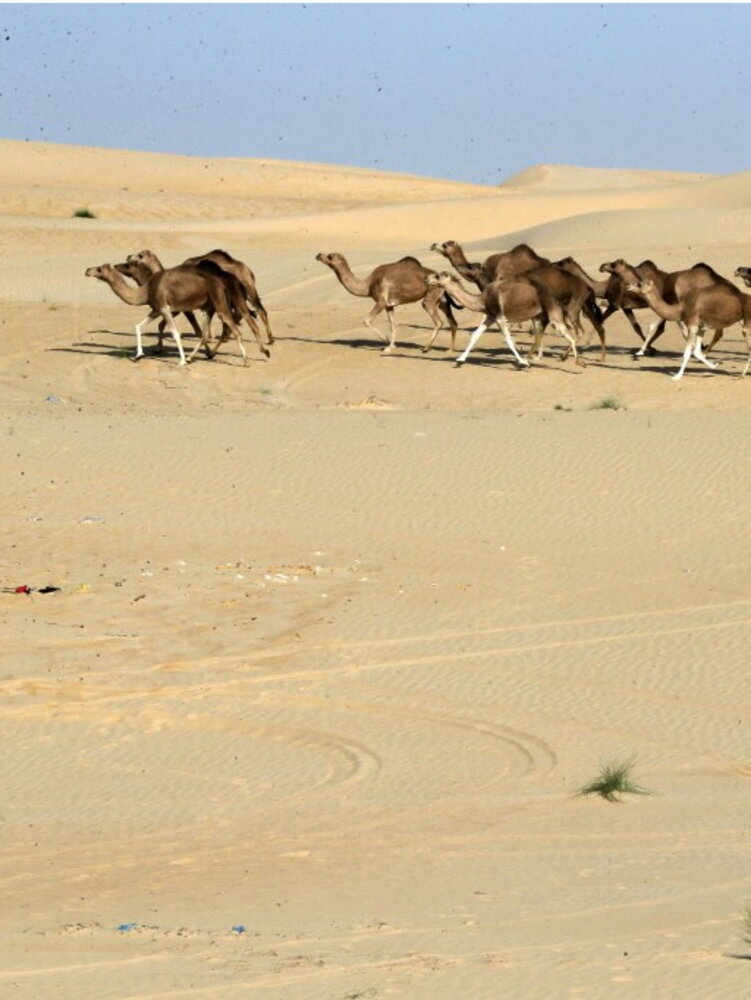 Il deserto del Sahara è radioattivo per le bombe USA-URSS 