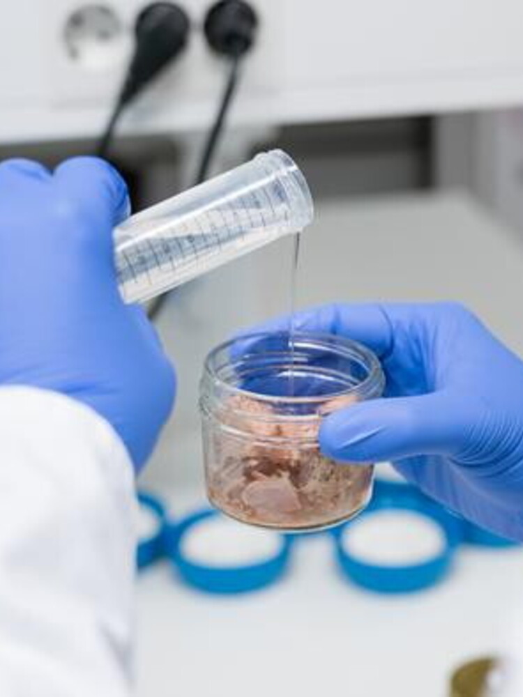 Il nuovo confezionamento riduce del 35% il mercurio nel tonno