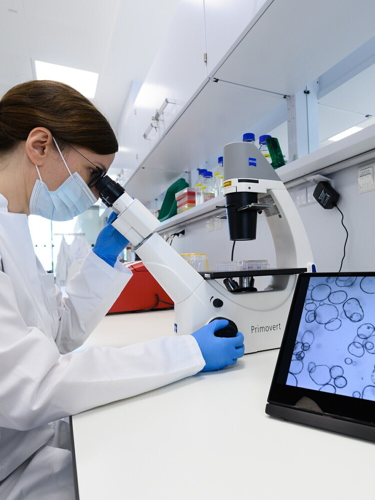 Messo a punto un nuovo test che rileva il cancro al pancreas