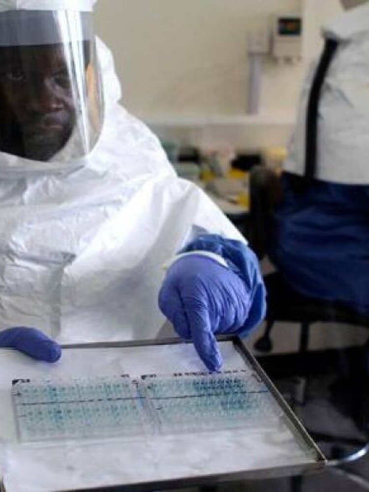Dalla ricerca nuove scoperte su Ebola per prevenire future pandemie
