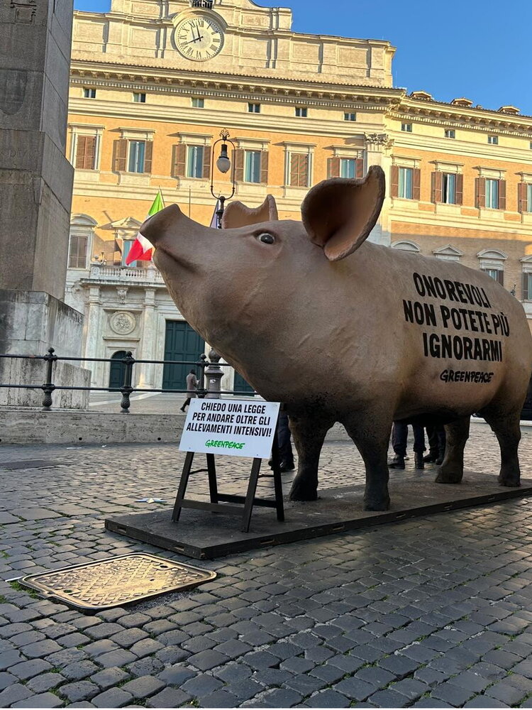 Un maiale davanti alla Camera dei Deputati: "Onorevoli non potete più ignorarmi"
