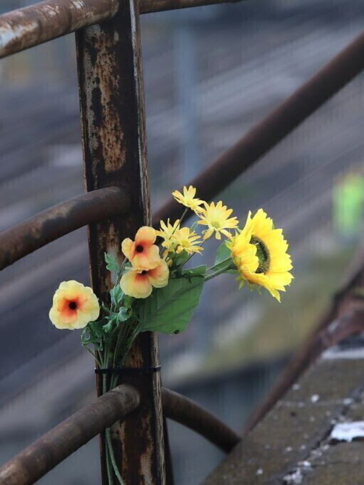 Auto contro un albero, 4 giovani morti nel tarantino