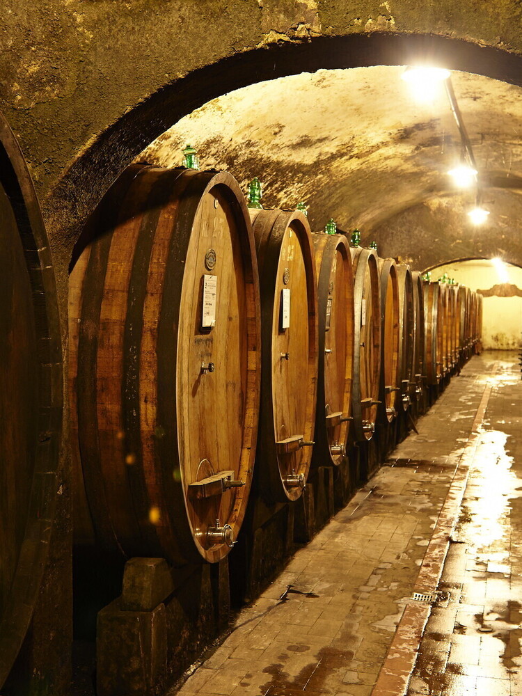 Vino, cresce il consumo interno ma i dazi lo minacciano