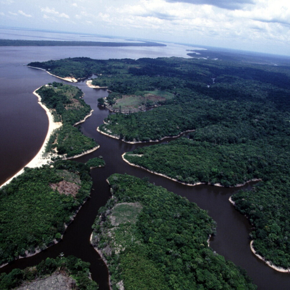 Perché l'Amazzonia potrebbe sopravvivere a una lunga siccità