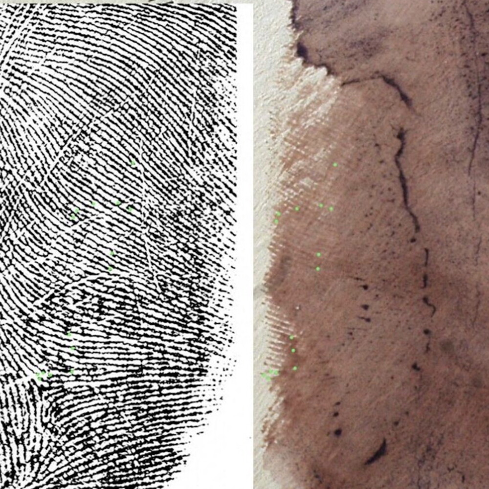 La ninidrina e le nuove tecniche. Come l'impronta "33" ha portato alla svolta nel caso Poggi