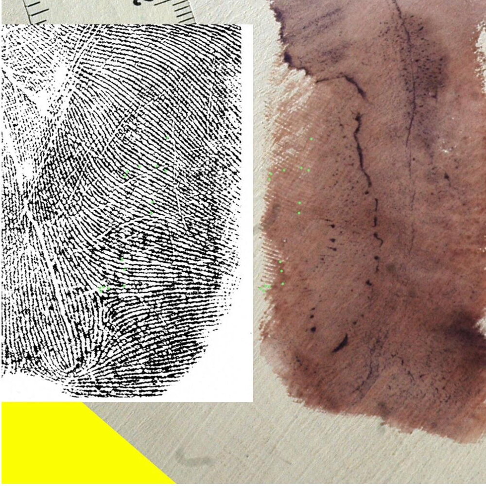 Garlasco 18 anni dopo. Ecco come le nuove tecnologie stanno indirizzando le indagini