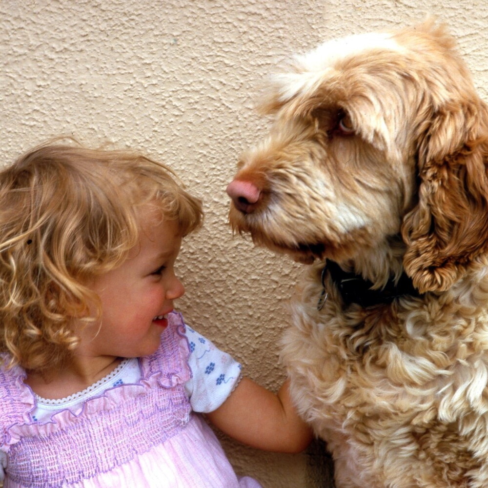 Vivere con un cane previene il rischio di eczema nei bambini
