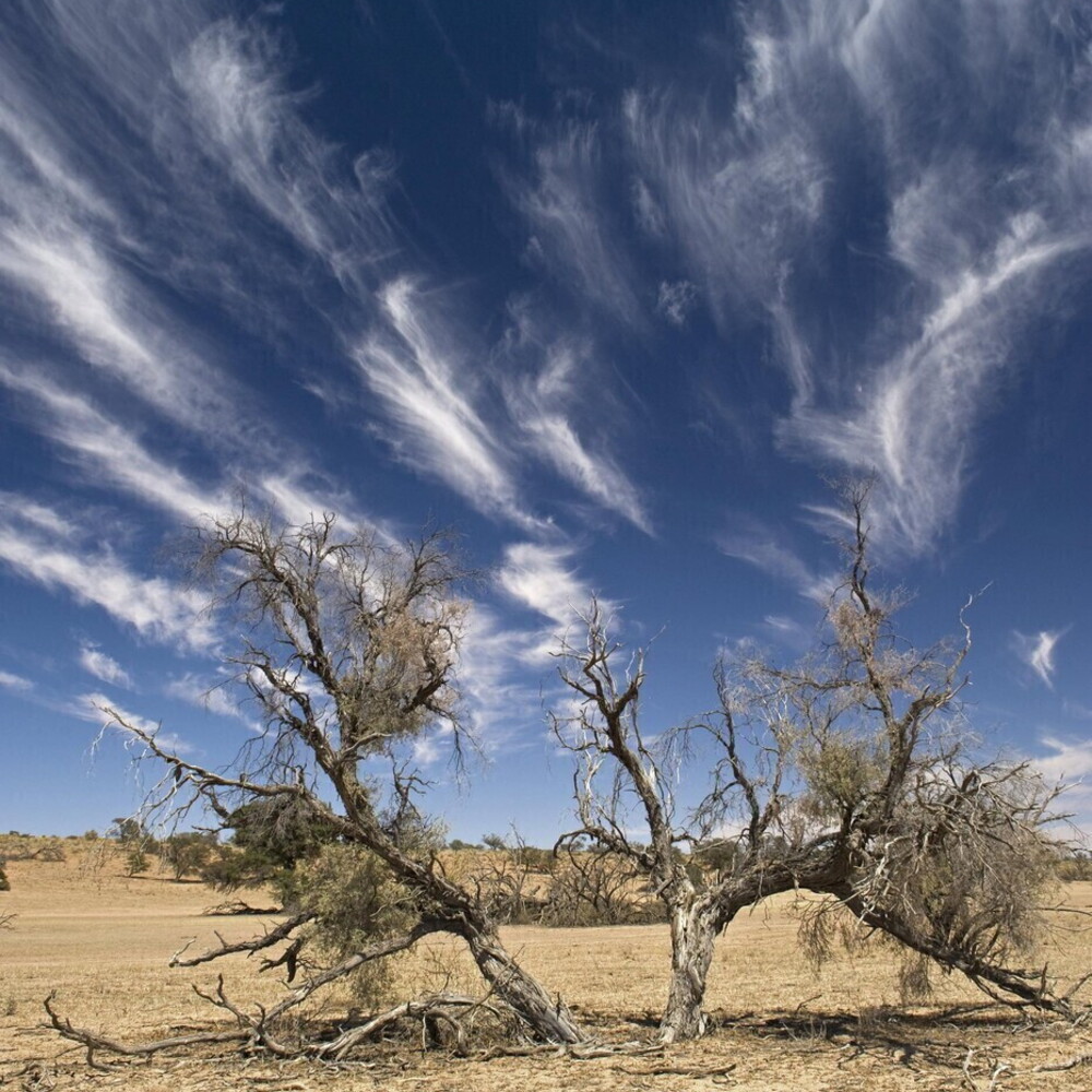 Maggio 2025, caldo record globale. Siccità in Europa
