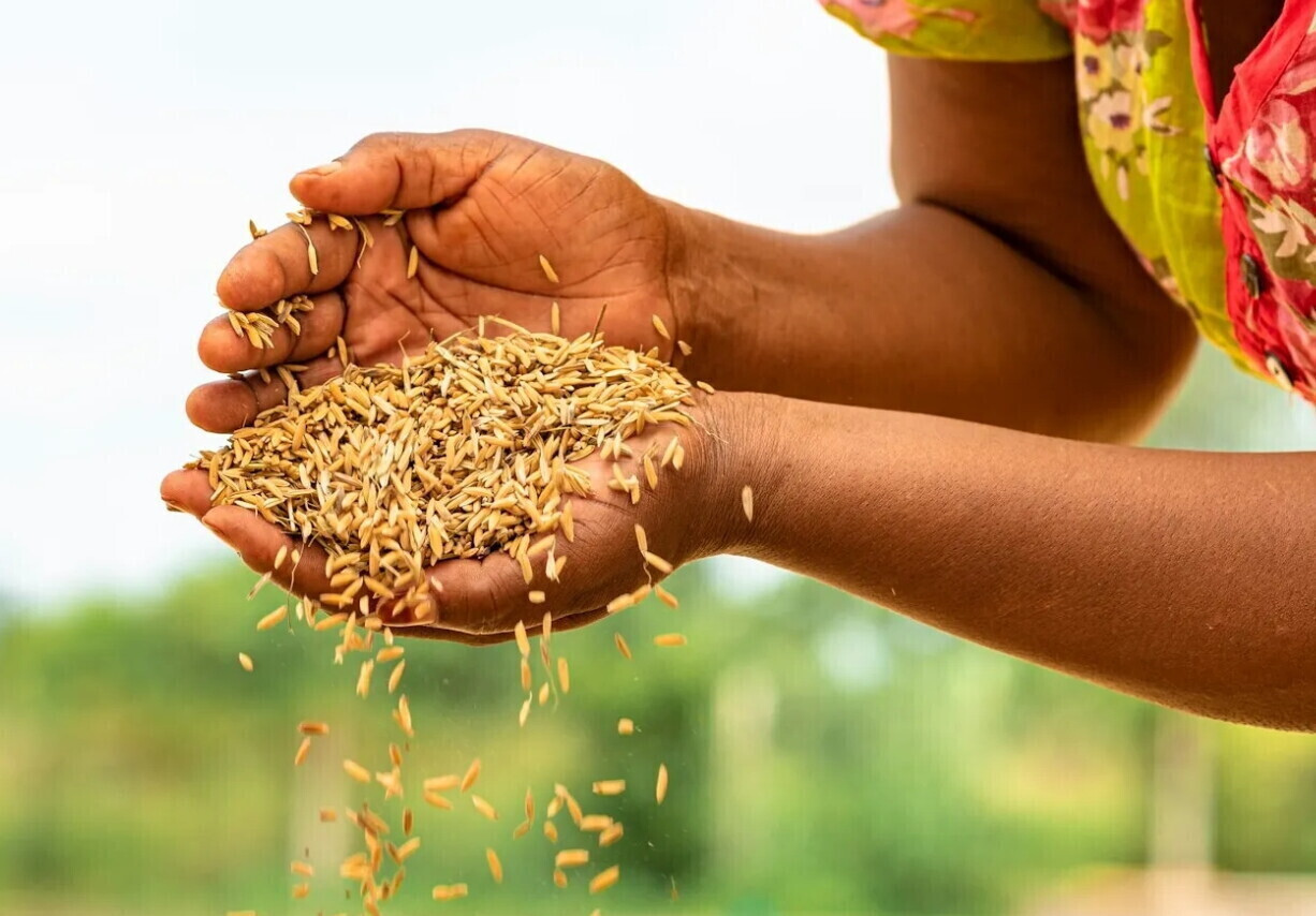 Un gruppo di agricoltori etiopi e rappresentanti italiani discutono tecnologie agricole in un'aula durante un incontro a Addis Abeba