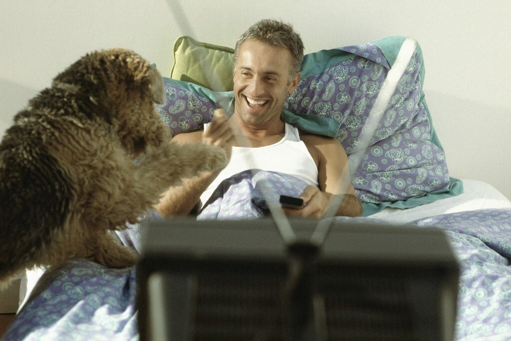 Non tutti i cani reagiscono alla tv allo stesso modo