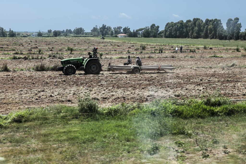 In arrivo un grande piano di investimenti sull'agricoltura