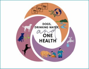 Acqua contaminata nei pozzi privati degli Usa: a rischio la salute dei cani