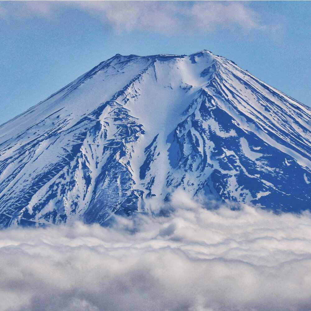 https://images.agi.it/pictures/agi/agi/2025/08/26/111339727-3e5b4721-71c0-4d4e-b1f6-4d5b3a4f13b8.jpg