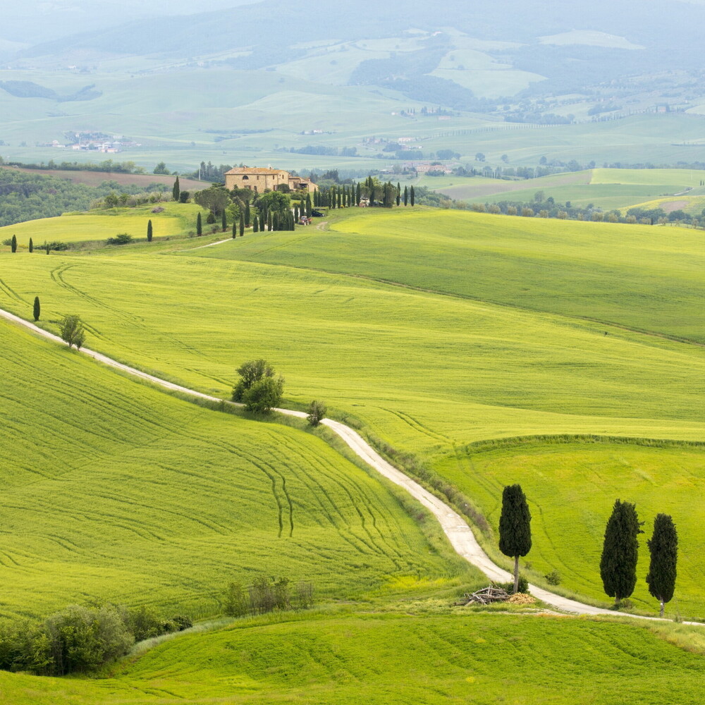 https://images.agi.it/pictures/agi/agi/2025/08/29/091901112-c6dd2b54-5d35-4738-abaf-d1999b7cc40b.jpg