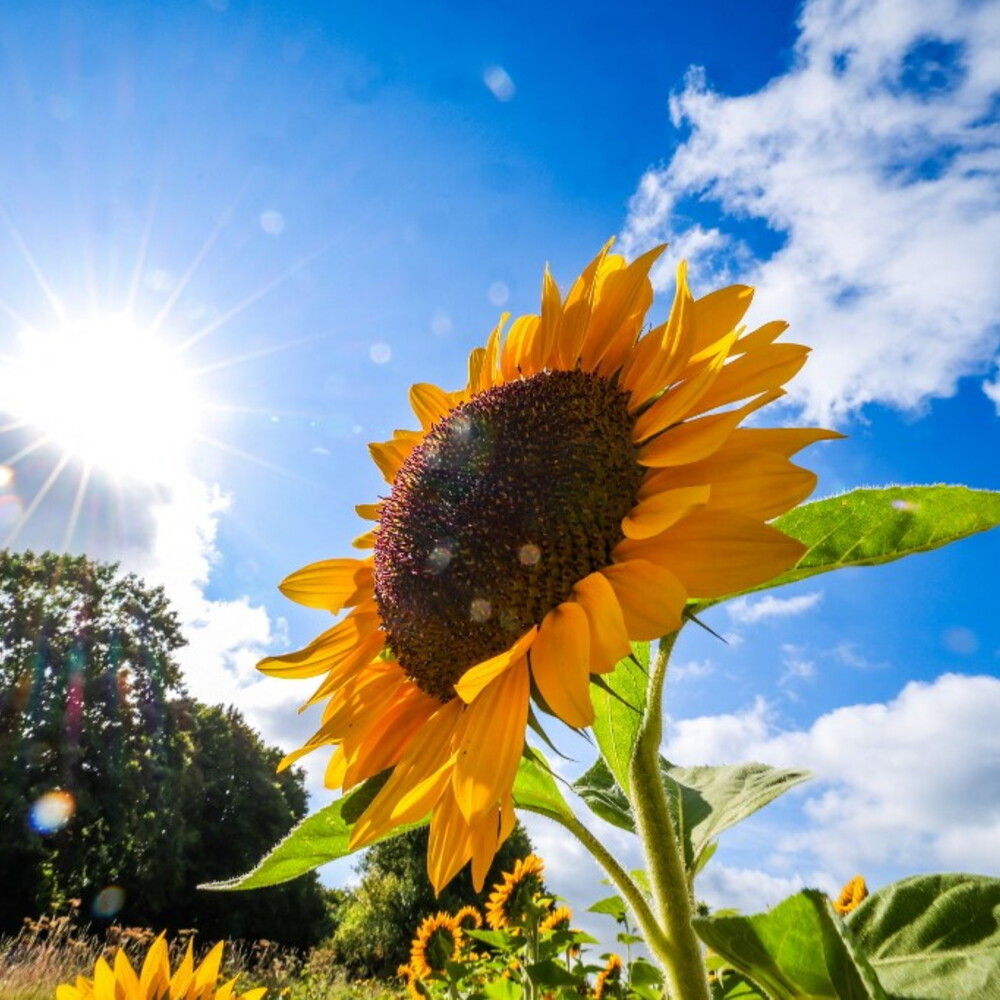 https://images.agi.it/pictures/agi/agi/2025/09/15/072715867-5b7576a6-b96c-4dbf-80f6-7710660a9b6f.jpg