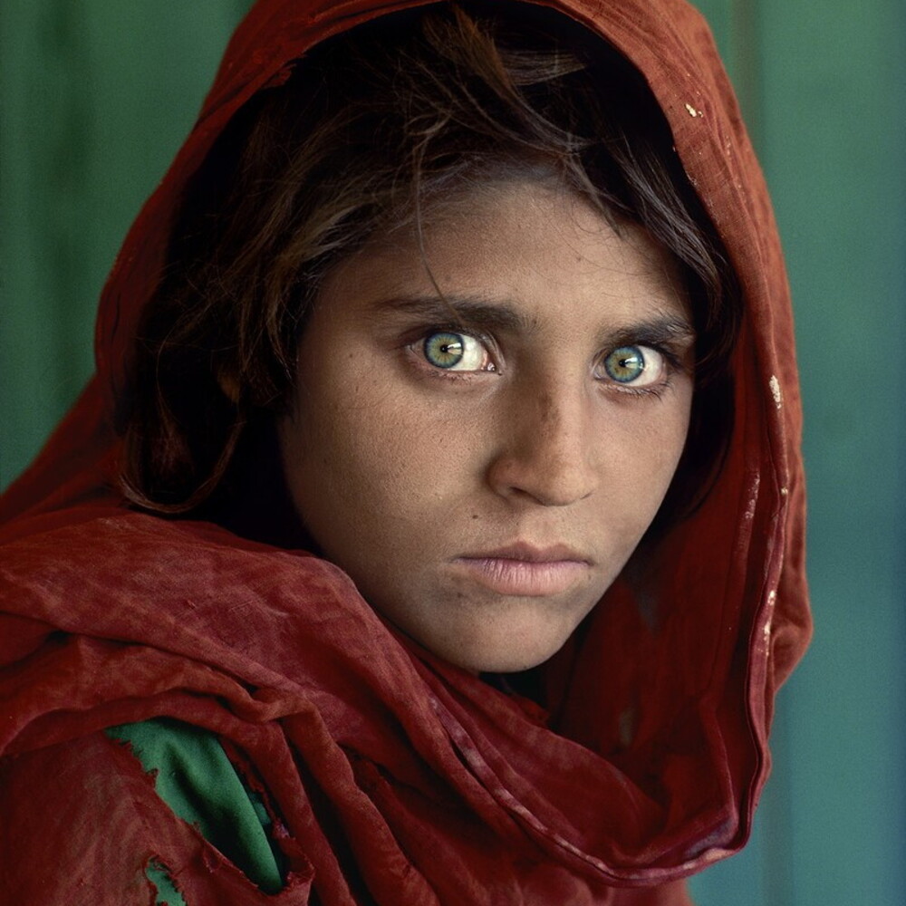 https://images.agi.it/pictures/agi/agi/2025/09/24/140250560-36bc8c30-a610-4f91-903e-2fddb16a9094.jpg