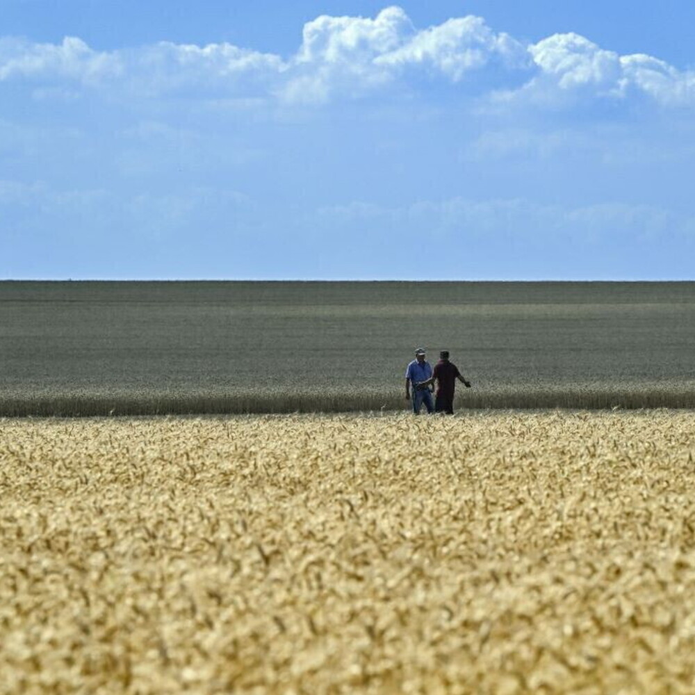 https://images.agi.it/pictures/agi/agi/2025/09/25/190010978-5a650503-e21c-47fc-9e9c-081ce009a7f4.jpg