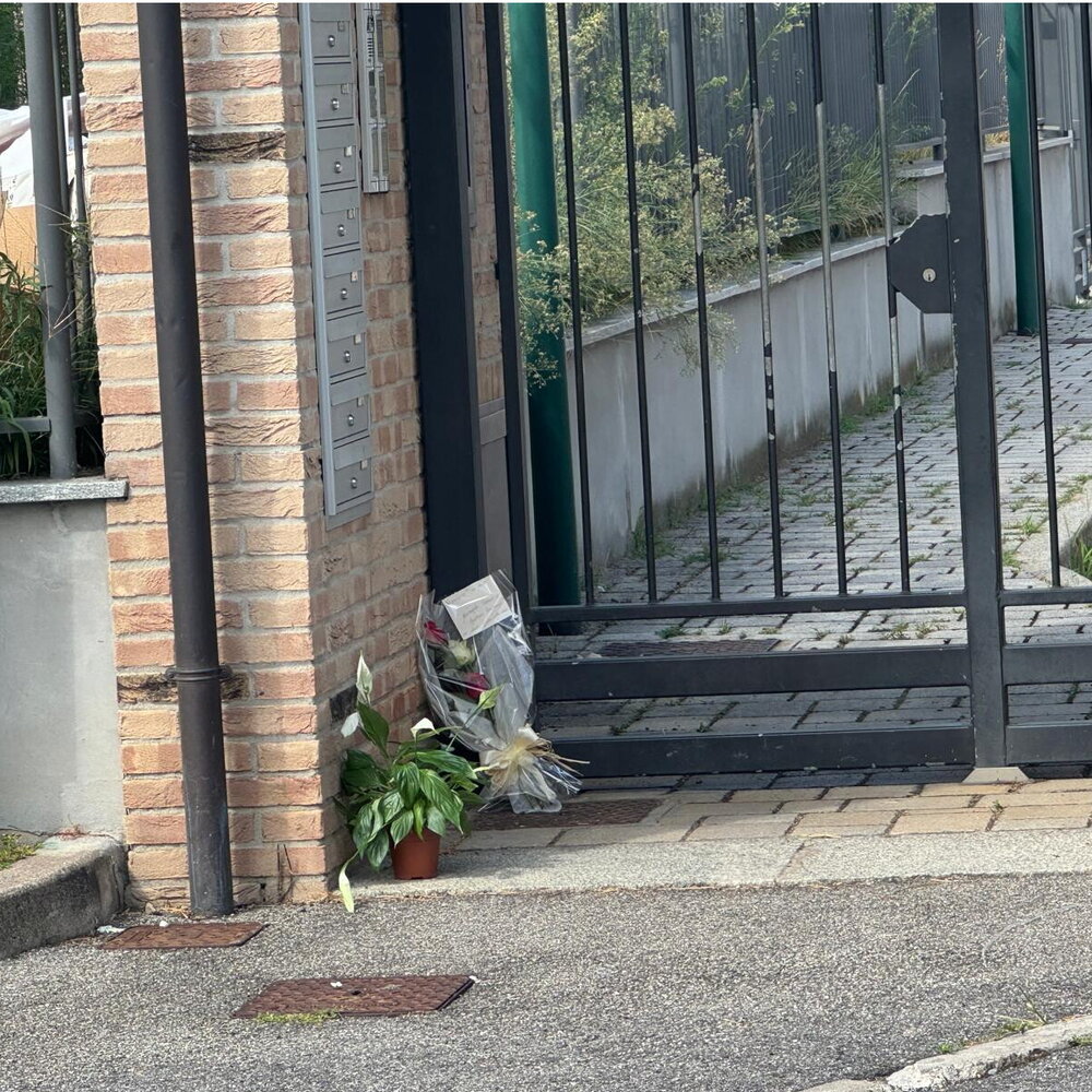https://images.agi.it/pictures/agi/agi/2025/09/29/101650169-3805b674-ad5a-45d5-9827-410d76e8e882.jpeg
