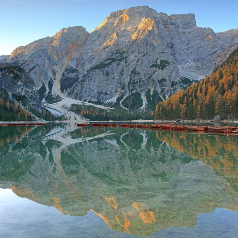 https://images.agi.it/pictures/agi/agi/2025/10/07/113033391-5e614cdd-116a-4618-be37-82570d33d282.jpg