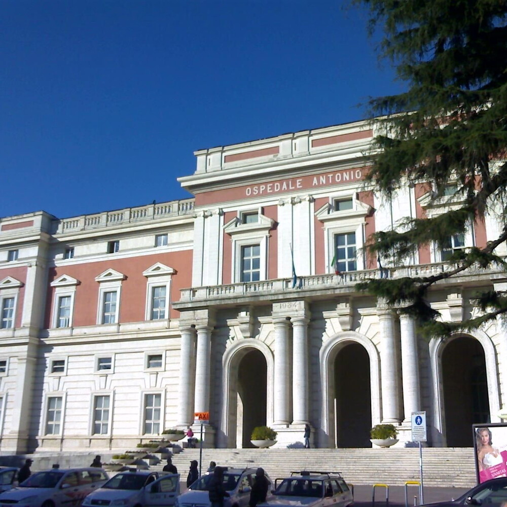 https://images.agi.it/pictures/agi/agi/2025/10/12/142959127-c957b455-e785-470f-8371-b1a4473ab257.jpg