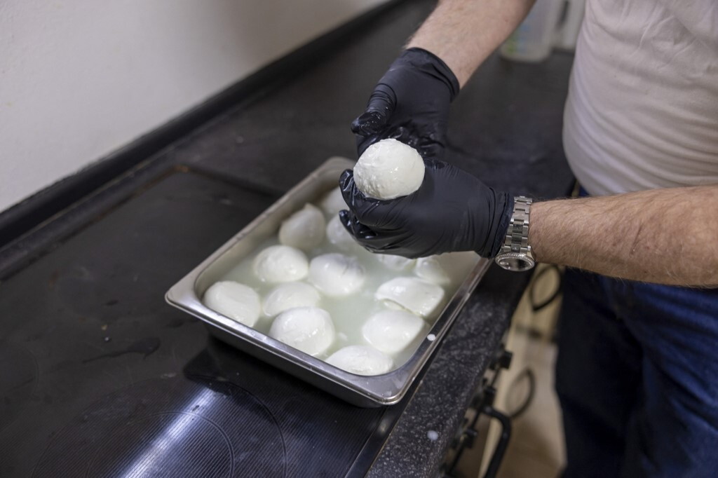 La Mozzarella di Bufala Campana DOP: abitudini di consumo e reputazione digitale nei mercati europei