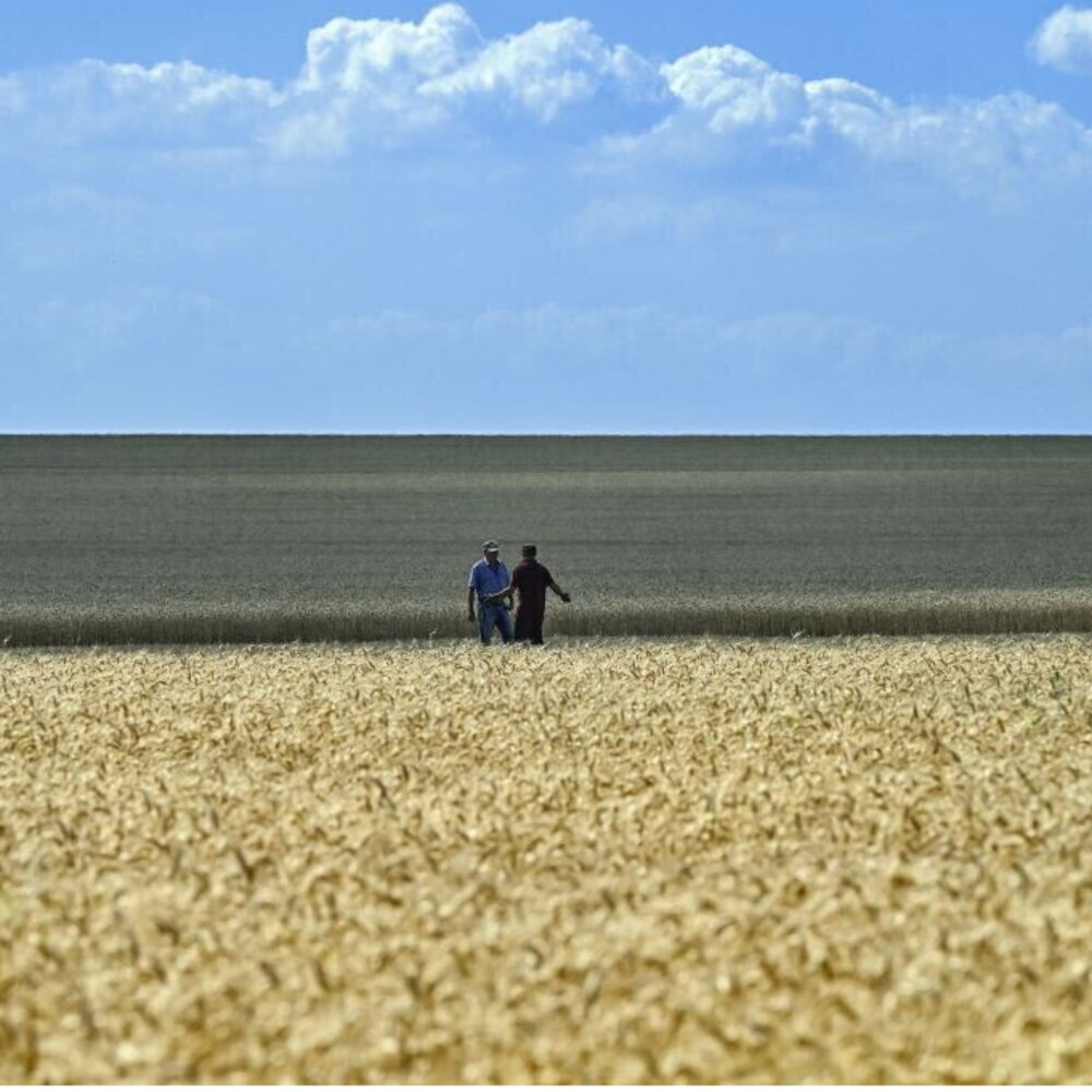 https://images.agi.it/pictures/agi/agi/2025/10/15/113536276-3d844f81-2e7c-4246-9e56-a8b42917ee54.jpg