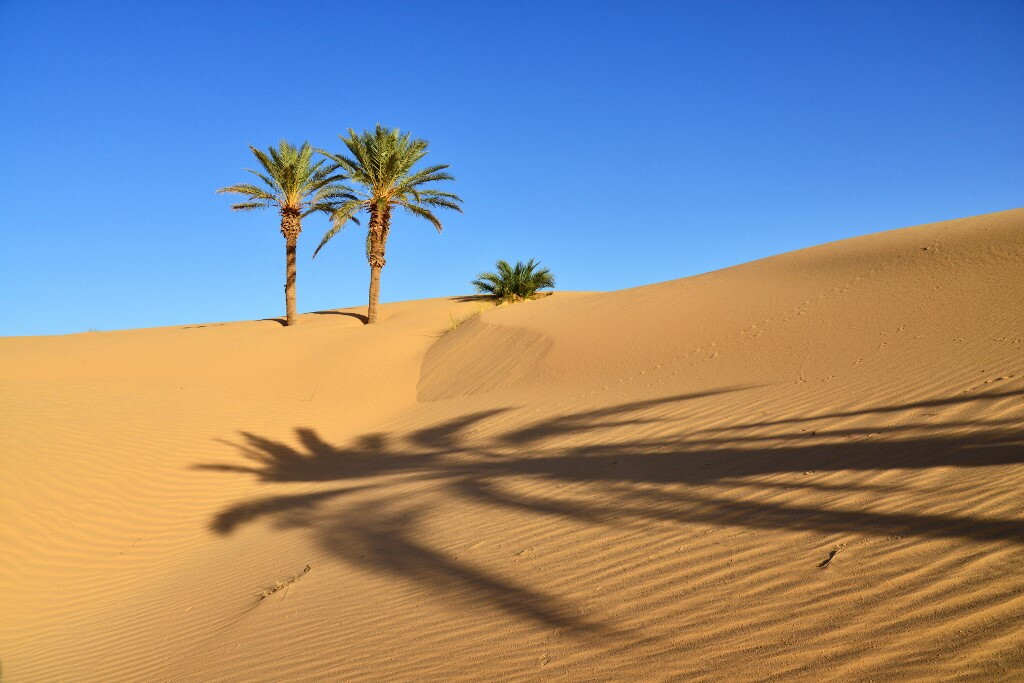Il deserto del Sahara diventerà piovoso entro il 21° secolo
