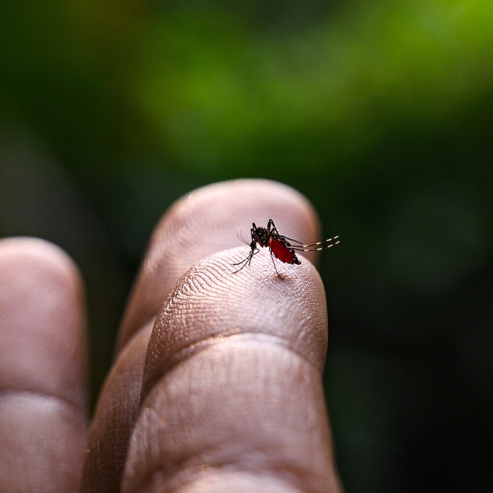 https://images.agi.it/pictures/agi/agi/2025/10/21/134449511-23fb1132-12e9-4384-b7b6-50ad504d407c.jpg