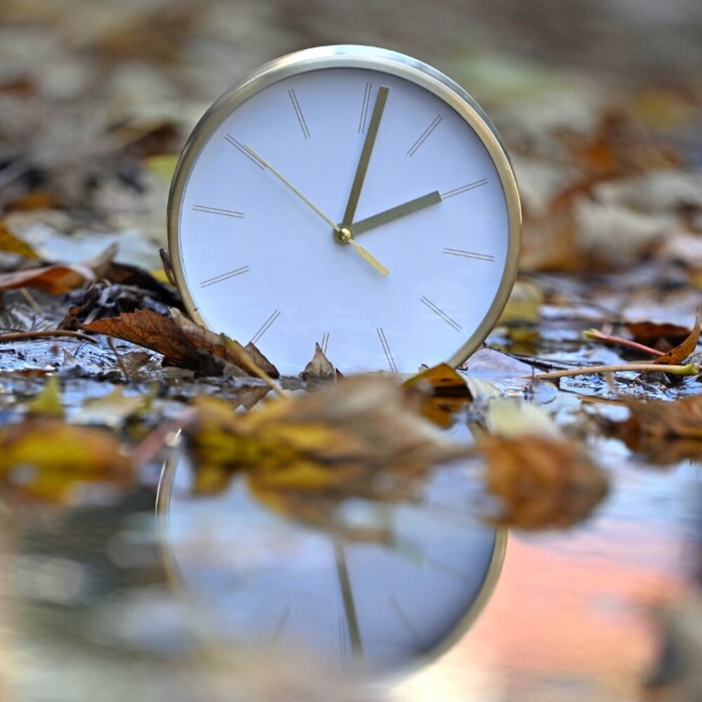 https://images.agi.it/pictures/agi/agi/2025/10/23/164344959-f7fa25a1-f1d8-4bd6-b78e-9da8f9805d1d.jpg