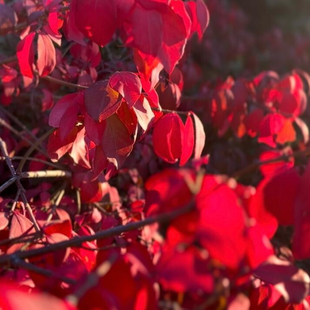 https://images.agi.it/pictures/agi/agi/2025/10/27/150904464-db651990-c1ce-4bdf-87cc-5ea4c21048b3.jpg