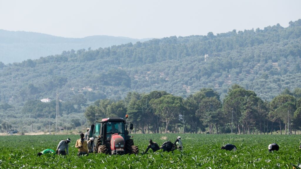 L'accusa della Flai Cgil: "In Puglia ghetti agricoli ignorati"