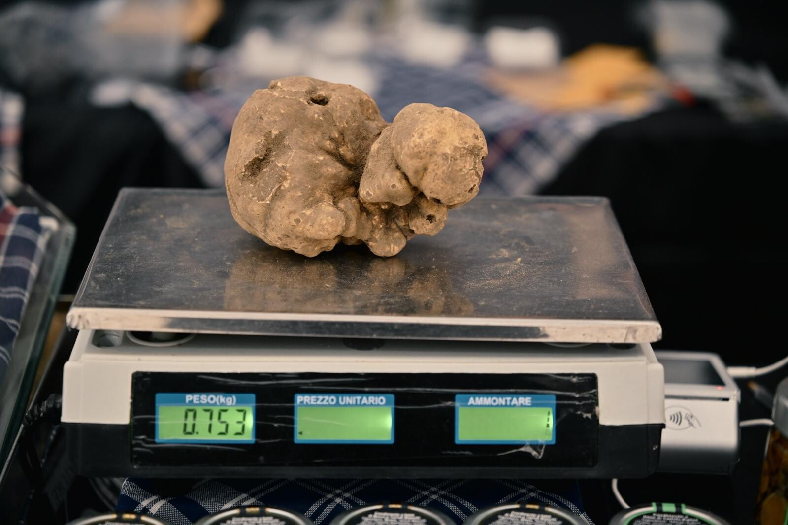 Città di Castello da guinness, trovato un tartufo di 750 grammi