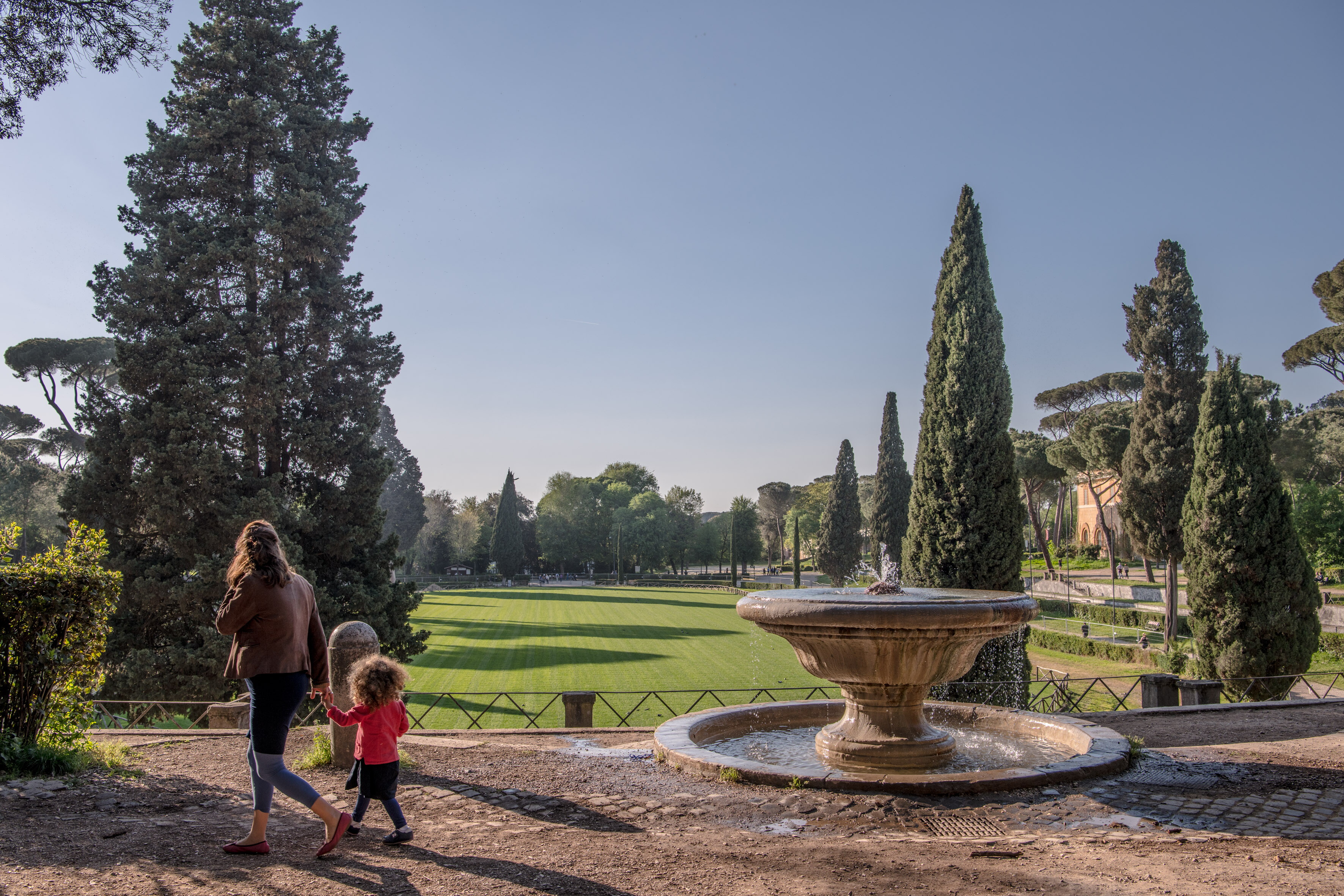Le città italiane sono poco verdi: 24 alberi ogni 100 abitanti