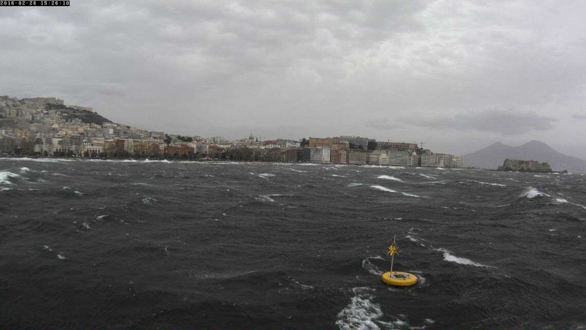 La Stazione Anton Dohrn celebra i 10 anni di monitoraggio nel Tirreno centrale