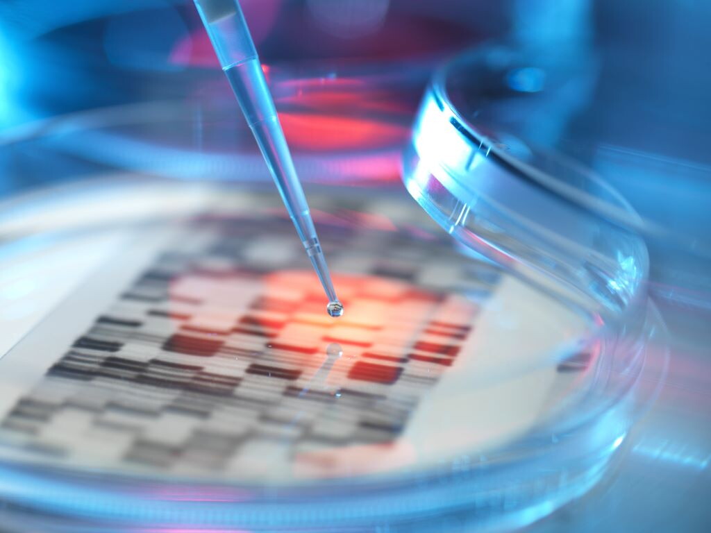 Garlasco: compatibilità dna Y in 12 marcatori su 16. Che cos'è?