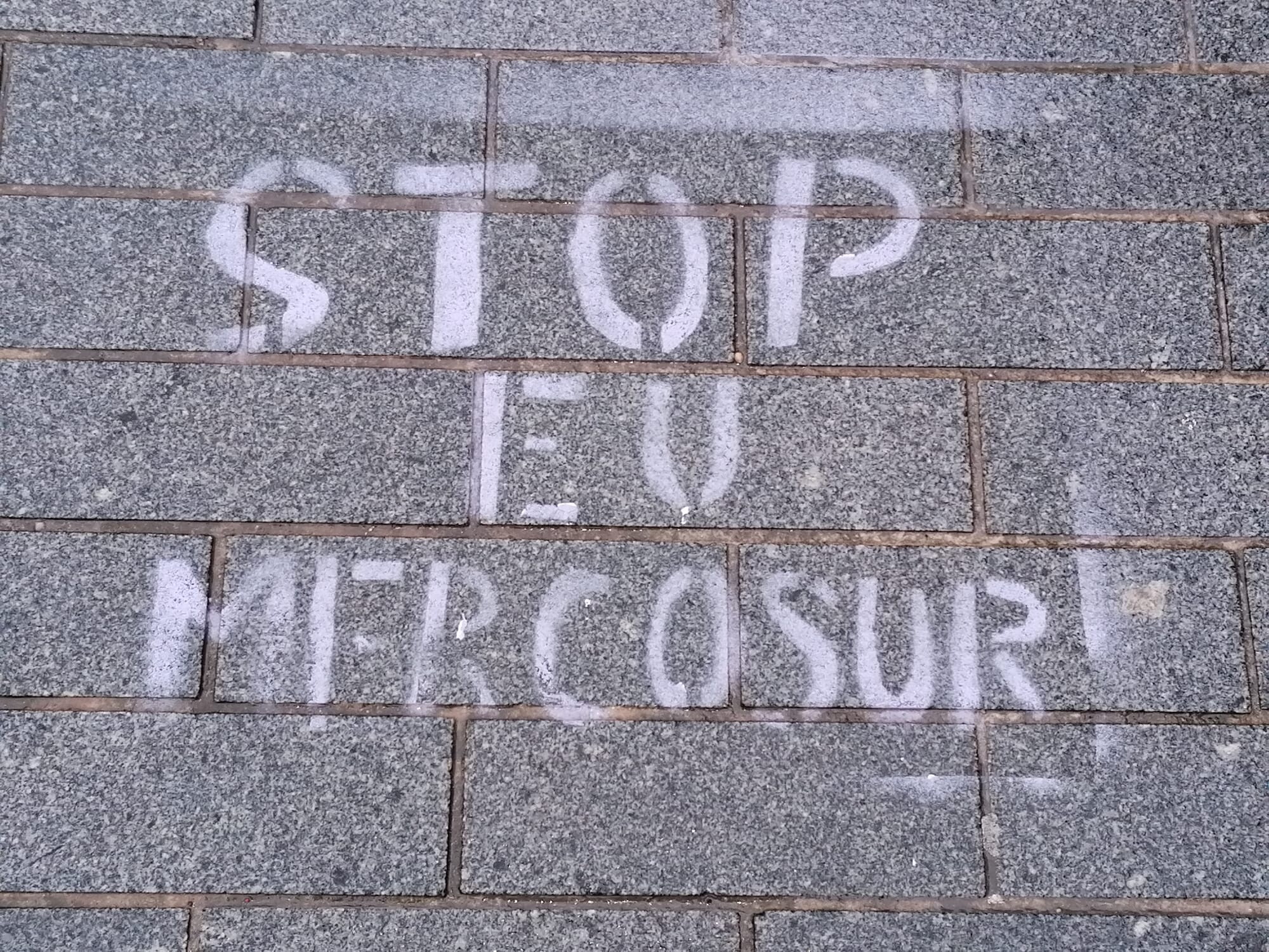 Mercosur, accordo bloccato. Il Parlamento Ue chiede un parere alla Corte di giustizia