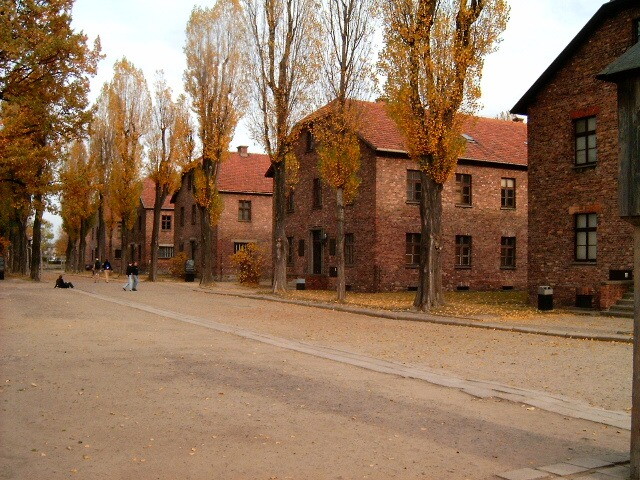 Non fu la liberazione di Auschwitz a rivelare gli orrori della Shoah
