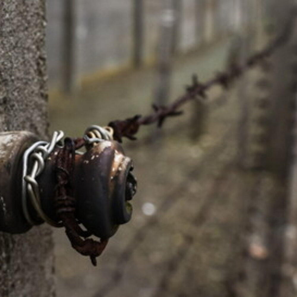 Holocaust: Takes DNA test and discovers 50 surviving relatives