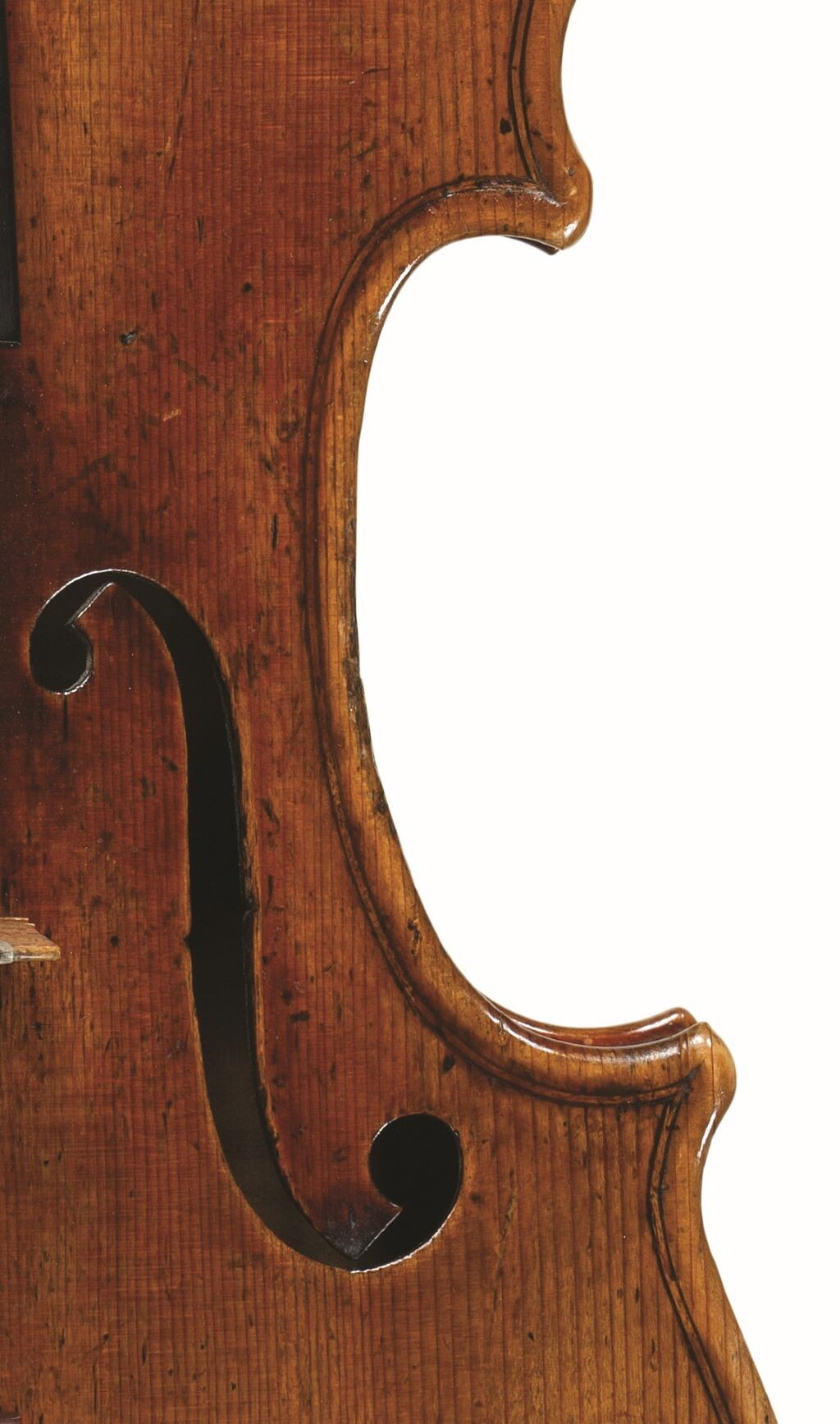 Il legno dei violini di Stradivari proveniva dalla Val di Fiemme: la conferma in uno studio