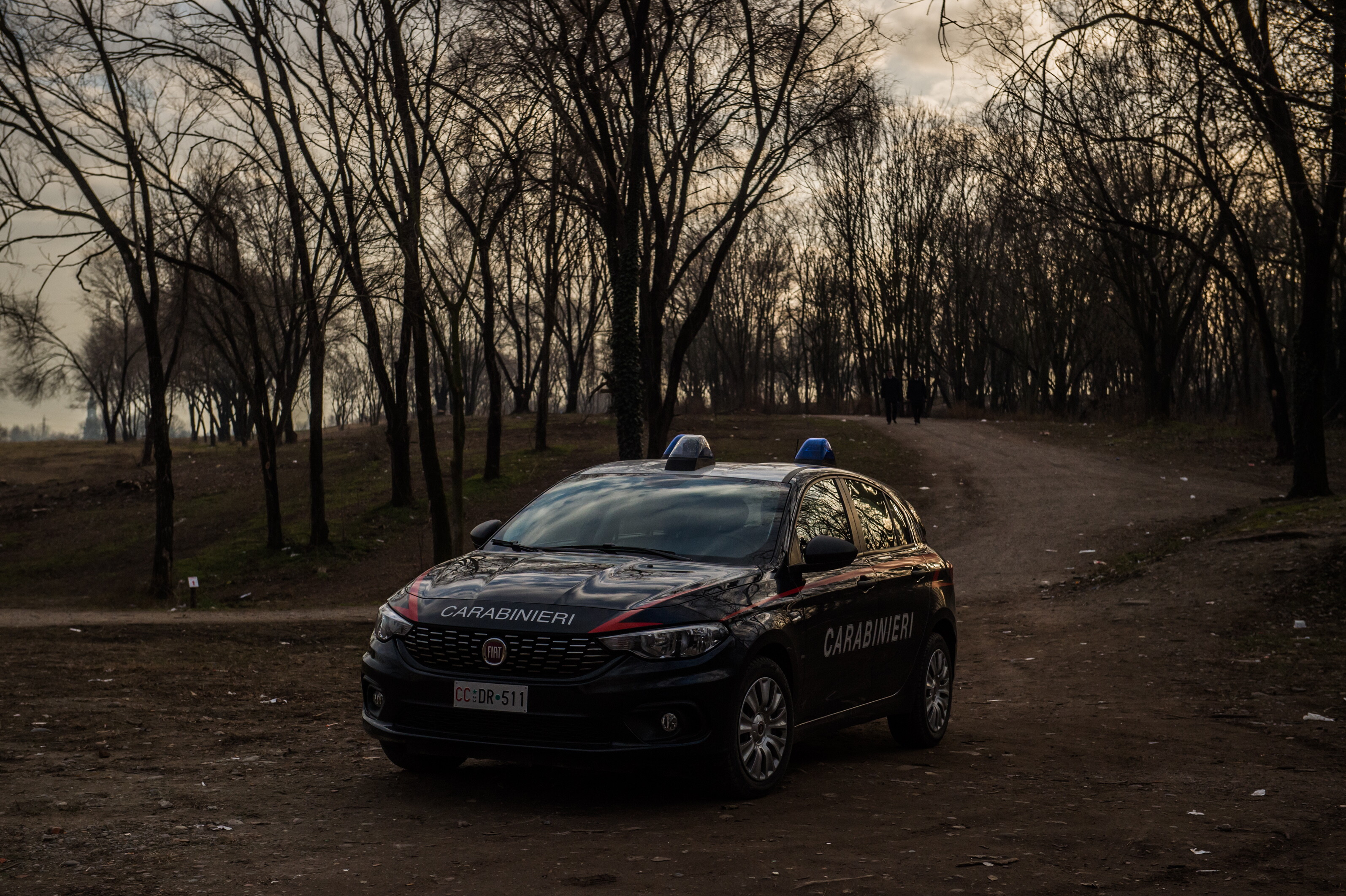 Uccide la madre e la seppellisce nel bosco, fermato il figlio